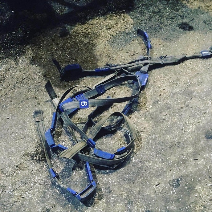 Deze mensen zijn helaas niet de enige… - Foto: Ingezonden foto