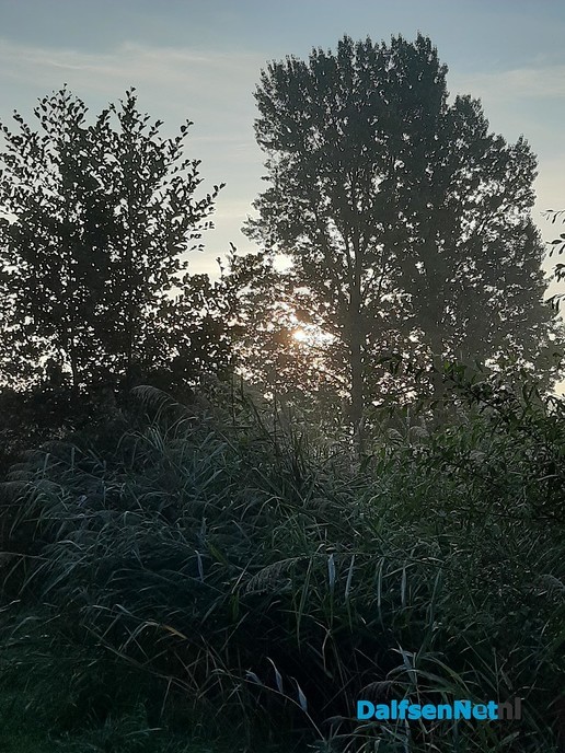 Ochtendgloren Bellingeweer - Foto: Ingezonden foto