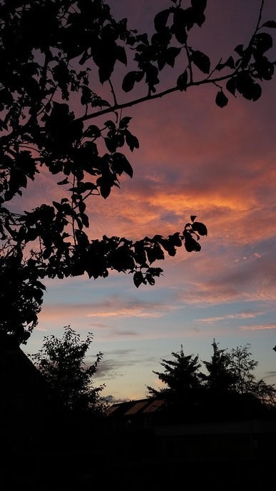 Weer een mooie avond in Dalfsen - Foto: Ingezonden foto