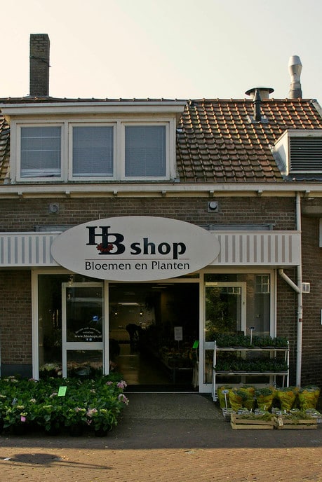 Hertsenberg bloemen (HB Dalfsen) gaat verhuizen - Foto: Paul Scholten