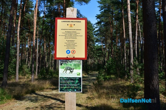 Het Rechterense Veld, rust ruimte en verkoeling in het bos - Foto: Johan Bokma