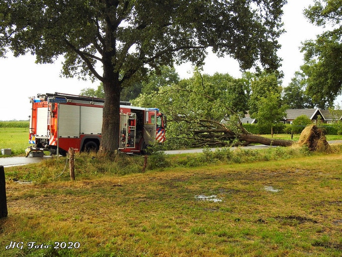 Stormschade Hooigraven.