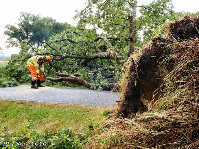 Stormschade Hooigraven.