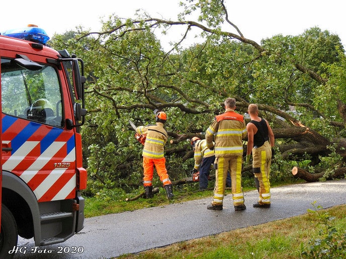 Stormschade Hooigraven.