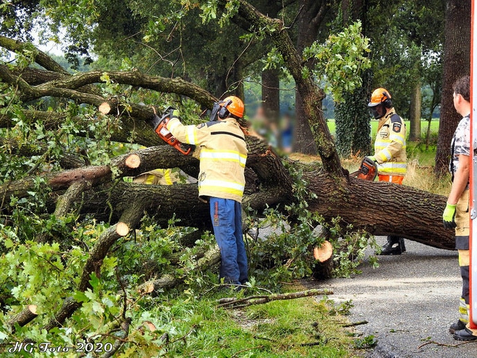 Stormschade Hooigraven.