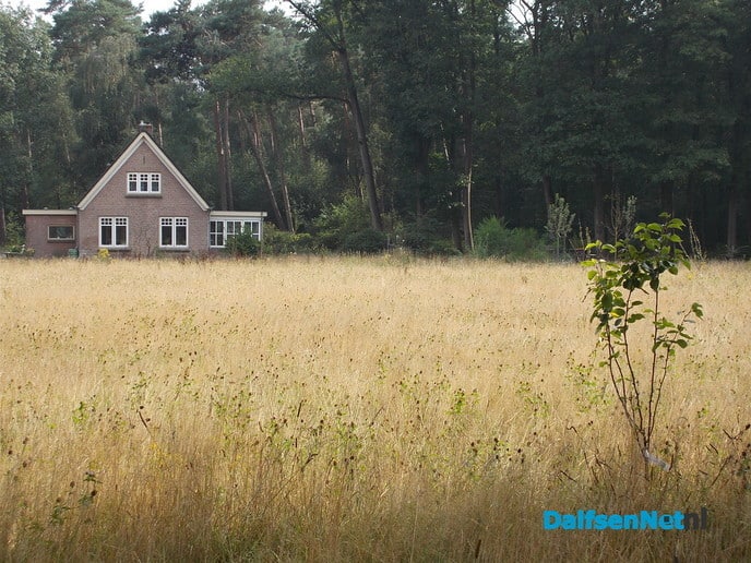 Voedselbos en geduld