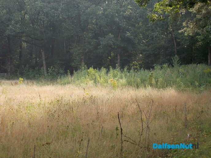 Voedselbos en geduld