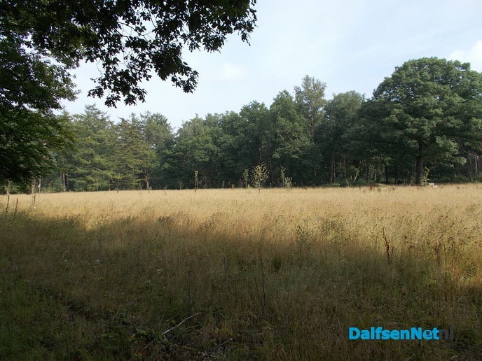 Voedselbos en geduld