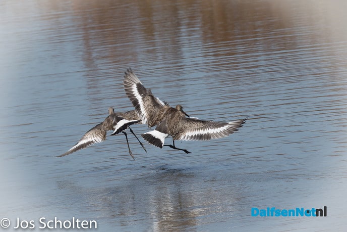 Op reis - Foto: Ingezonden foto