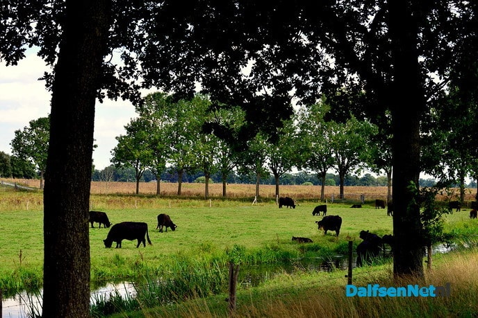 Stuw Vechterweerd - Foto: Ben Jonkman