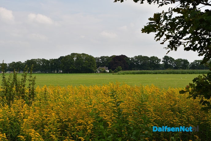 Vechtdal-tuinen Arriën en Dalfsen trekken kleine 350 bezoekers - Foto: Johan Bokma