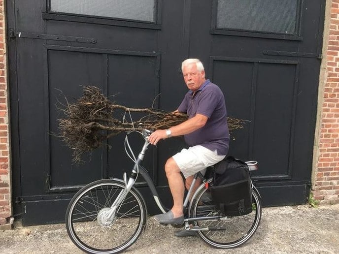 Gratis Perenbomen - Foto: Ingezonden foto