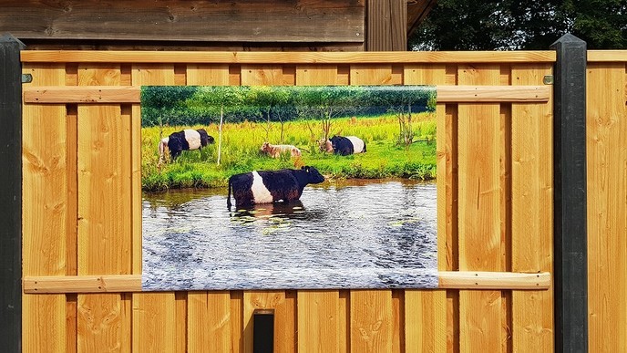 Dalfsen in de tuin - Foto: Ingezonden foto