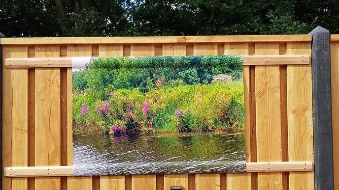 Dalfsen in de tuin - Foto: Ingezonden foto