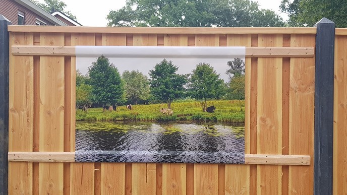 Dalfsen in de tuin - Foto: Ingezonden foto