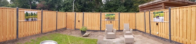 Dalfsen in de tuin - Foto: Ingezonden foto