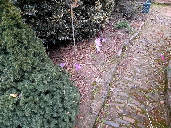 Herfst kump dran - Foto: Gruune Jopie