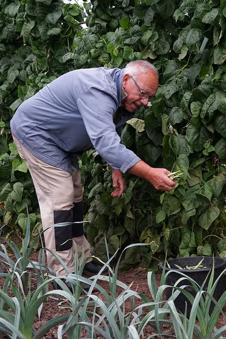 Ook Dalfsen heeft een actieve Volkstuinvereniging - Foto: Paul Scholten