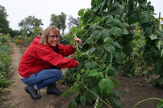Ook Dalfsen heeft een actieve Volkstuinvereniging - Foto: Paul Scholten