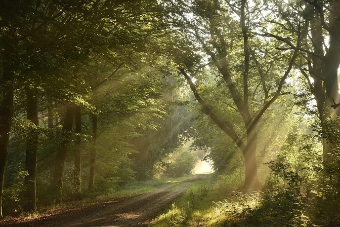 Opening Natuurbegraafplaats Hoogengraven 3 oktober