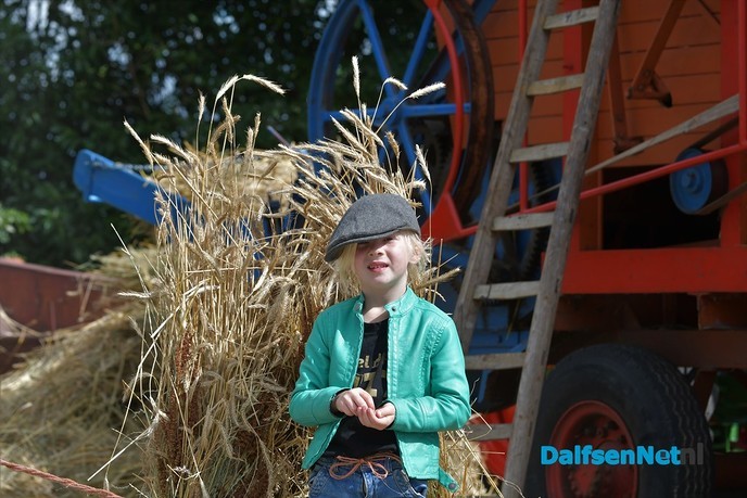 Dorsdemonstratie bij Decohof ‘Kwekerij Overgoor’ op Hoonhorst - Foto: Johan Bokma