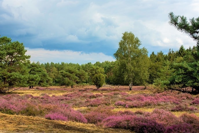 Opening Natuurbegraafplaats Hoogengraven 3 oktober