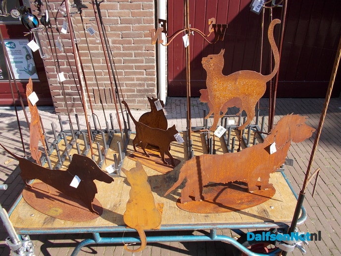 Pins6 pakt uit