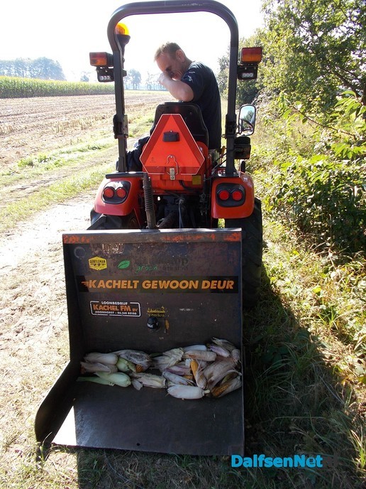 Weersomslag zorgt voor extra drukte maïsoogst