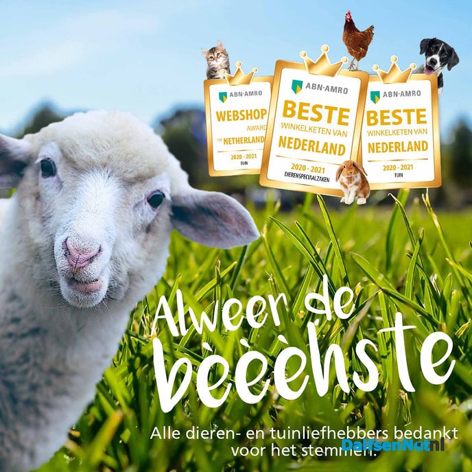 Welkoop beste winkelketen. - Foto: Ingezonden foto