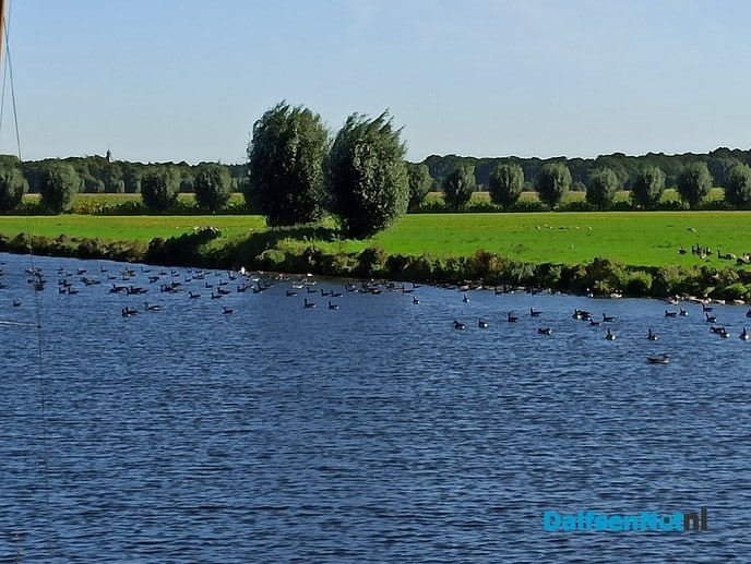Nog steeds gezellig druk op de Vecht - Foto: Ingezonden foto