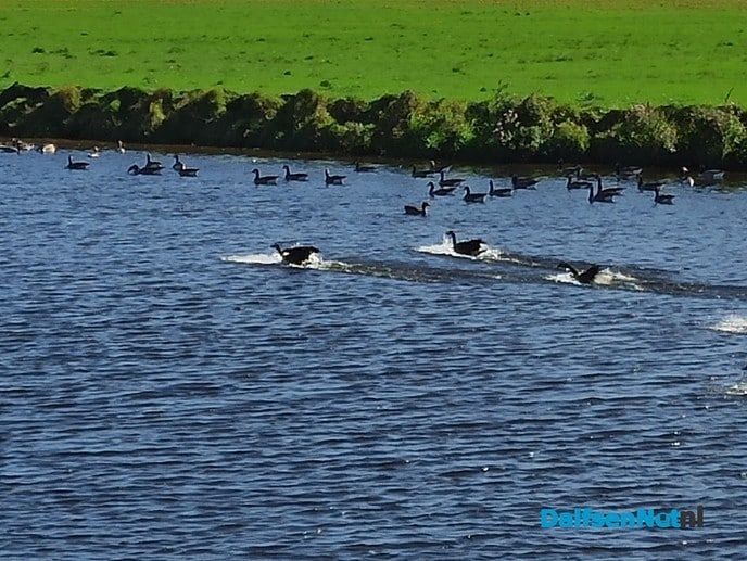 Nog steeds gezellig druk op de Vecht - Foto: Ingezonden foto