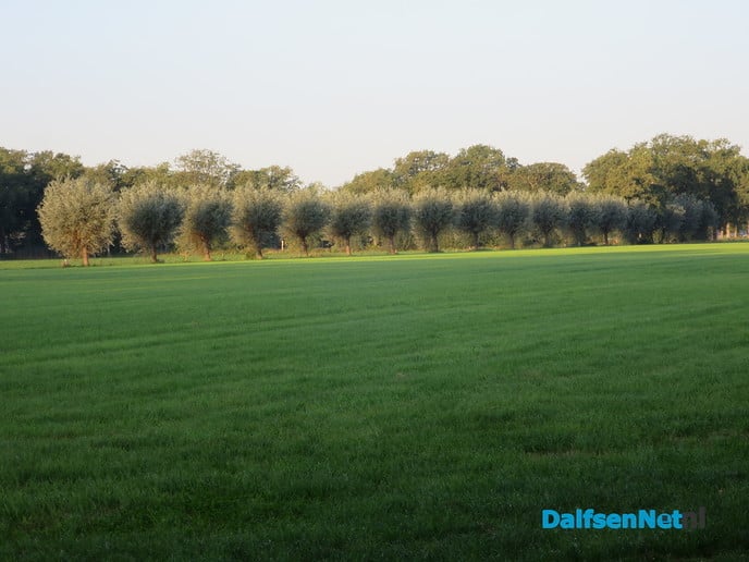 Een zonnige zondagmorgen in de natuur - Foto: Wim