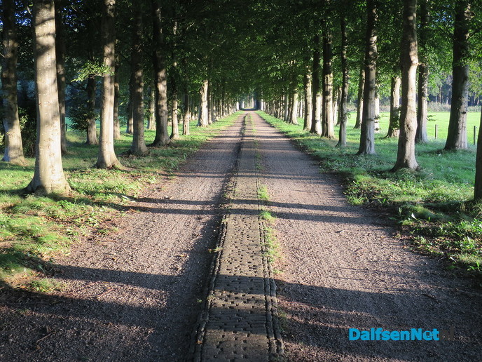 Een zonnige zondagmorgen in de natuur - Foto: Wim