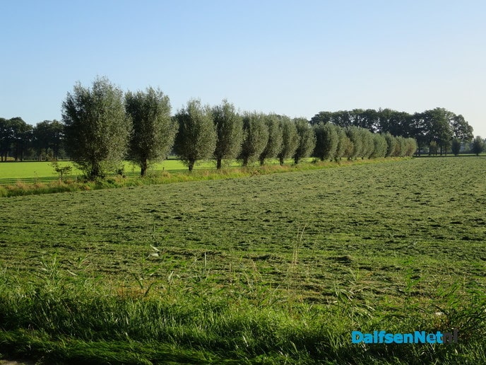 Een zonnige zondagmorgen in de natuur - Foto: Wim
