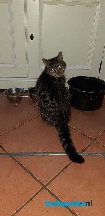 Zoë, waar zit je?? - Foto: Ingezonden foto