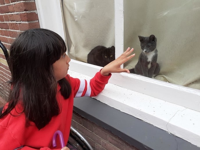 Zondag is het de 90e internationale dierendag - Foto: William uit Dedemsvaart
