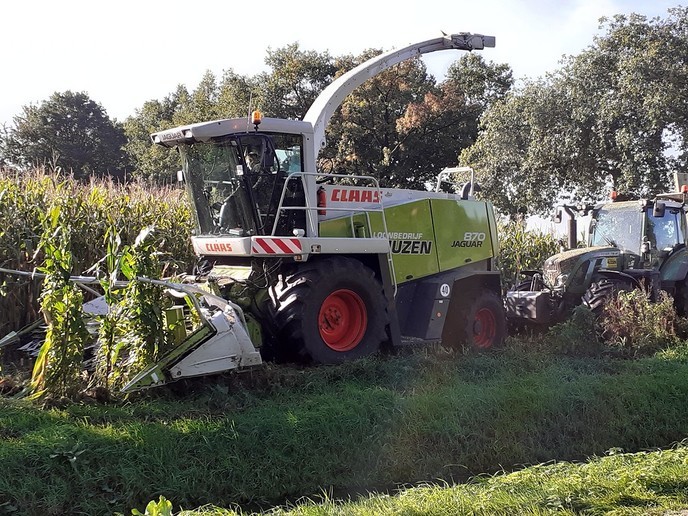 Maisoogst in volle gang langs de Middeldijk - Foto: William uit Dedemsvaart
