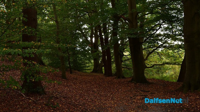 Herfst het kleurrijkste seizoen van het jaar - Foto: Johan Bokma