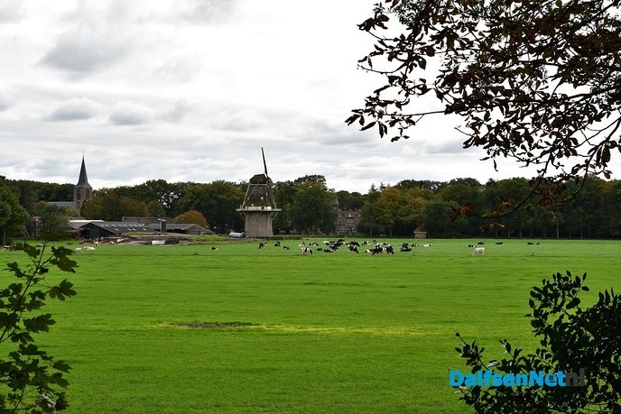 Herfst het kleurrijkste seizoen van het jaar - Foto: Johan Bokma