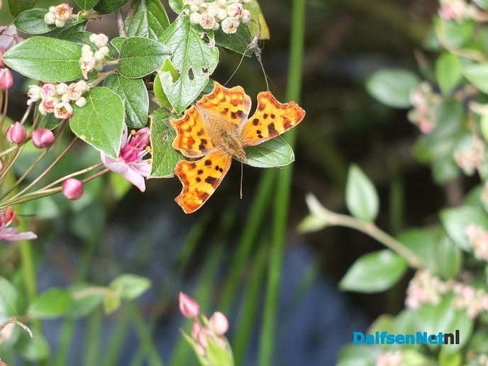 Workshop ‘De geheime tuin’ - Foto: Ingezonden foto