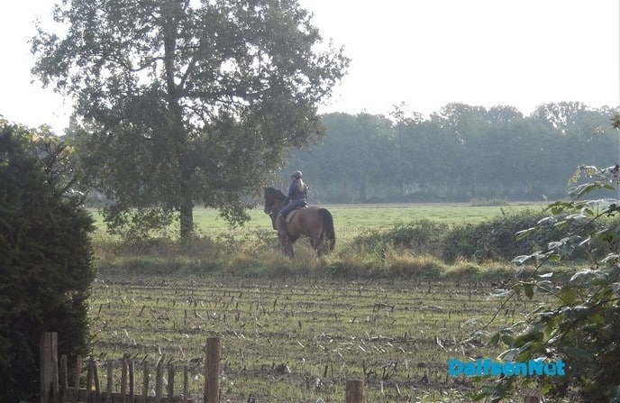 Dat is toch genieten op de zondagmorgen