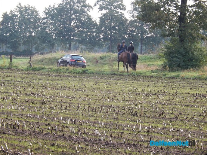 Dat is toch genieten op de zondagmorgen