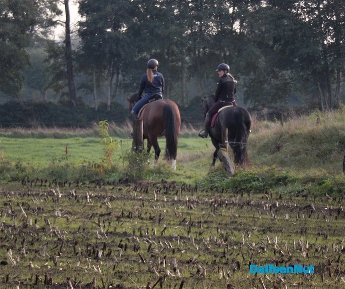 Dat is toch genieten op de zondagmorgen
