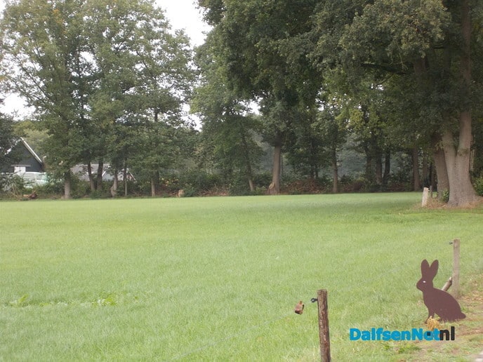 Prachtig van een beetje afstand