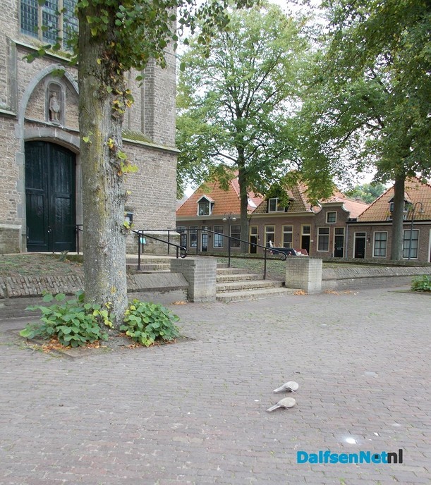 Duiven op de Dam