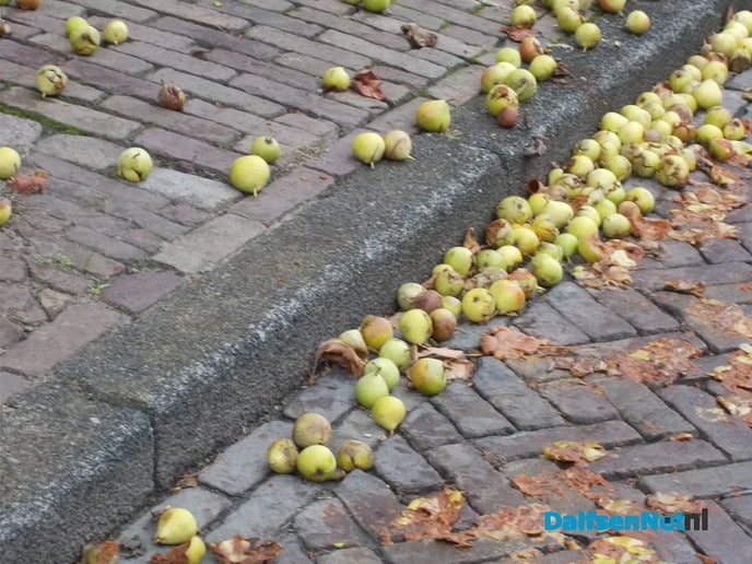 De appel valt niet ver