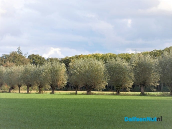 Zo maar een paar kiekjes - Foto: Eigen geleverde foto