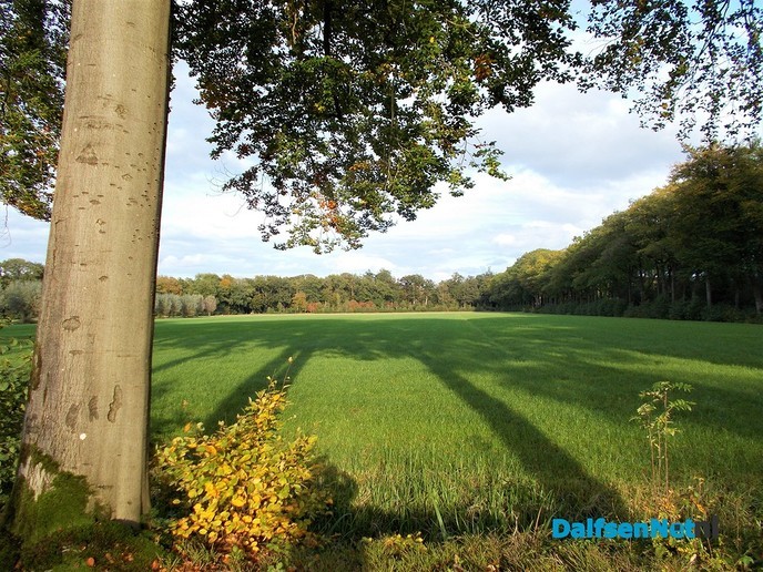 Zo maar een paar kiekjes - Foto: Eigen geleverde foto