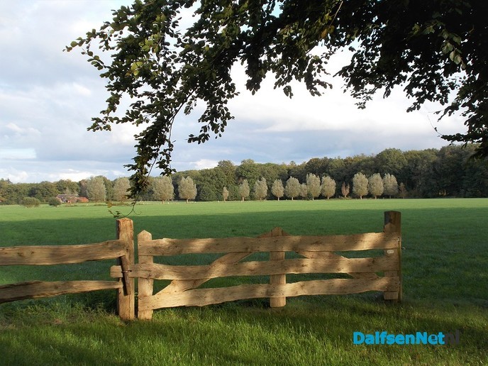 Zo maar een paar kiekjes - Foto: Eigen geleverde foto
