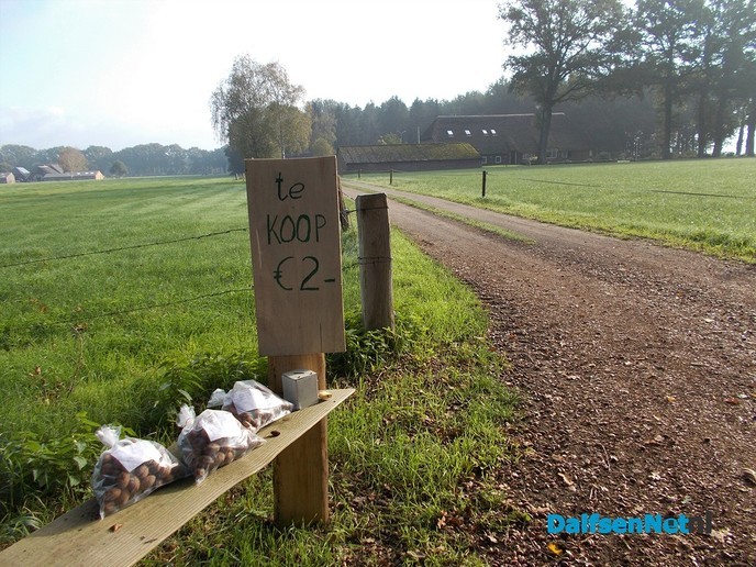Nu is het tijd voor walnoten